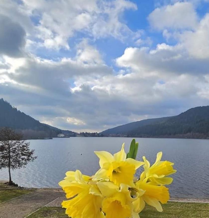 Les Yeux Du Lac Gérardmer Exterior foto